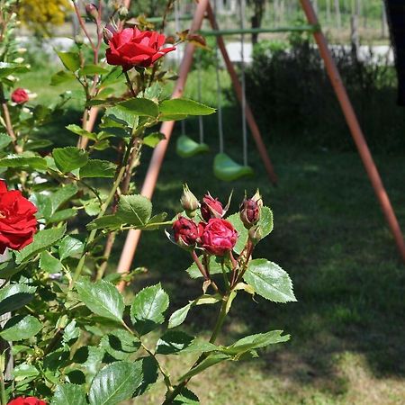 La Locanda Degli Elfi Viggianello Zewnętrze zdjęcie