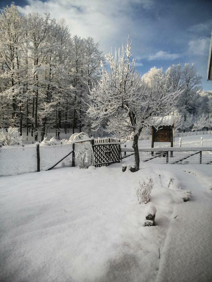 La Locanda Degli Elfi Viggianello Zewnętrze zdjęcie
