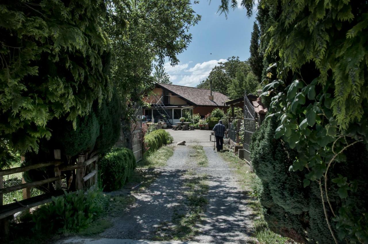 La Locanda Degli Elfi Viggianello Zewnętrze zdjęcie