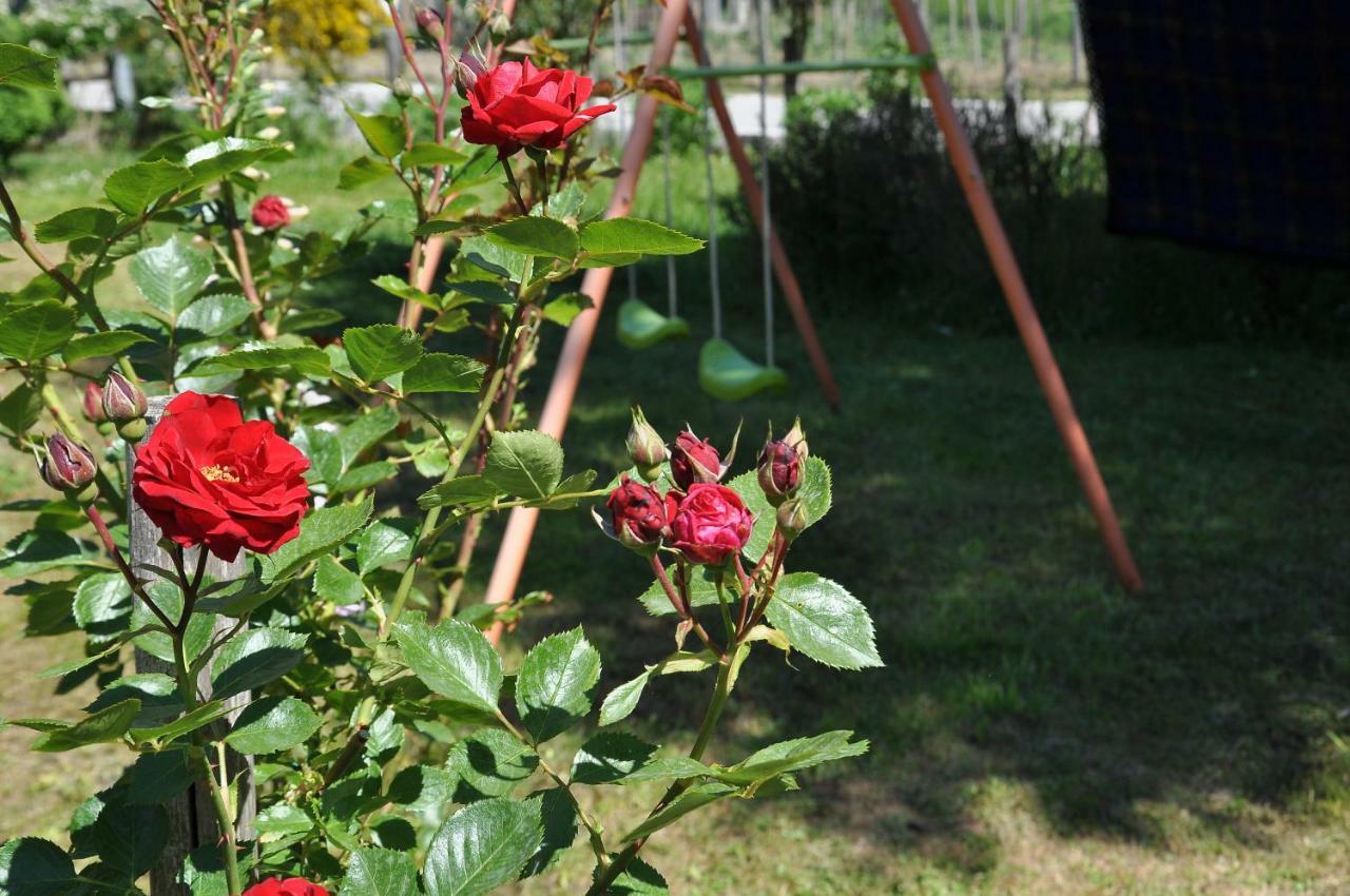 La Locanda Degli Elfi Viggianello Zewnętrze zdjęcie