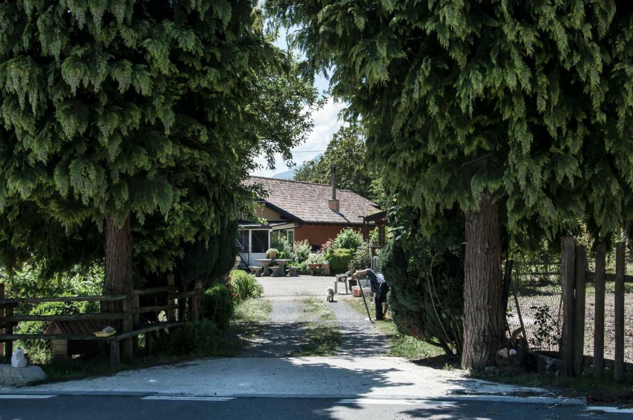 La Locanda Degli Elfi Viggianello Zewnętrze zdjęcie